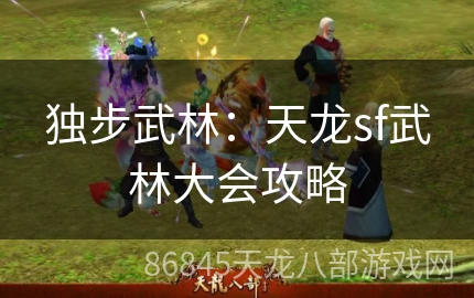 独步武林：天龙sf武林大会攻略