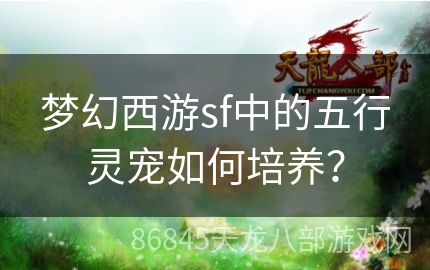 梦幻西游sf中的五行灵宠如何培养？