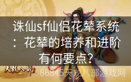 诛仙sf仙侣花辇系统：花辇的培养和进阶有何要点？