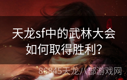 天龙sf中的武林大会如何取得胜利？