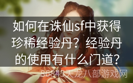 如何在诛仙sf中获得珍稀经验丹？经验丹的使用有什么门道？