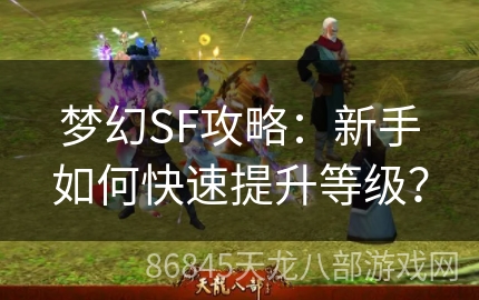 梦幻SF攻略：新手如何快速提升等级？