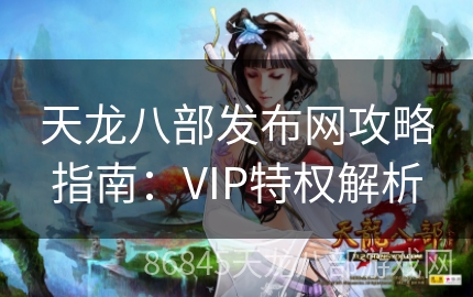 天龙八部发布网攻略指南：VIP特权解析