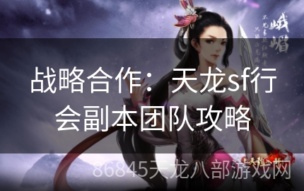 战略合作：天龙sf行会副本团队攻略