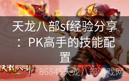 天龙八部sf经验分享：PK高手的技能配置