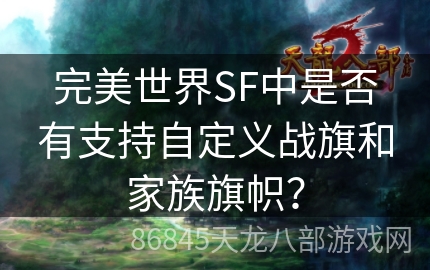 完美世界SF中是否有支持自定义战旗和家族旗帜？