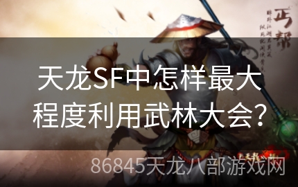 天龙SF中怎样最大程度利用武林大会？