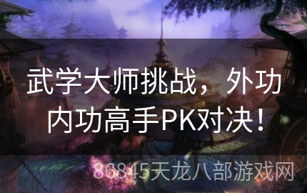 武学大师挑战，外功内功高手PK对决！