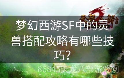 梦幻西游SF中的灵兽搭配攻略有哪些技巧？