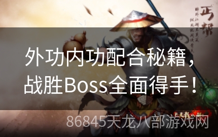 外功内功配合秘籍，战胜Boss全面得手！