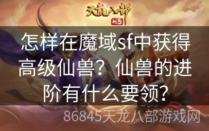 怎样在魔域sf中获得高级仙兽？仙兽的进阶有什么要领？