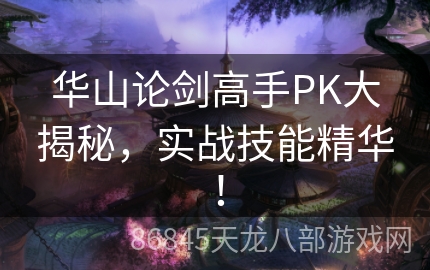 华山论剑高手PK大揭秘，实战技能精华！