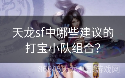 天龙sf中哪些建议的打宝小队组合？