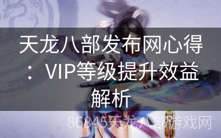 天龙八部发布网心得：VIP等级提升效益解析