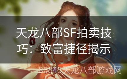 天龙八部SF拍卖技巧：致富捷径揭示