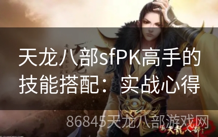 天龙八部sfPK高手的技能搭配：实战心得