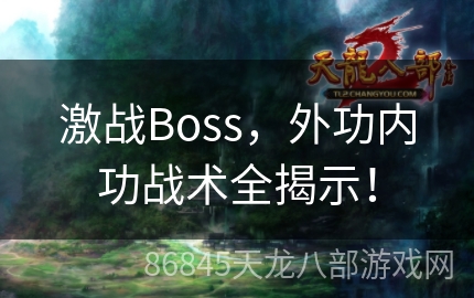 激战Boss，外功内功战术全揭示！