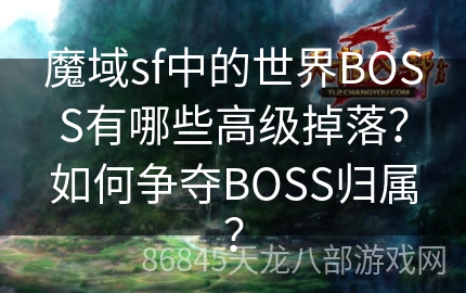 魔域sf中的世界BOSS有哪些高级掉落？如何争夺BOSS归属？