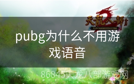 pubg为什么不用游戏语音